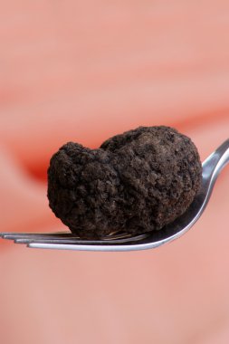 çatal üzerinde bir organik yaz truffle