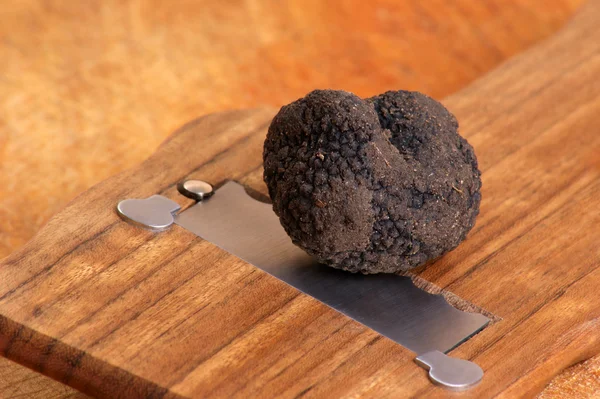 One organic summer truffle and a truffle slicer — Stock Photo, Image