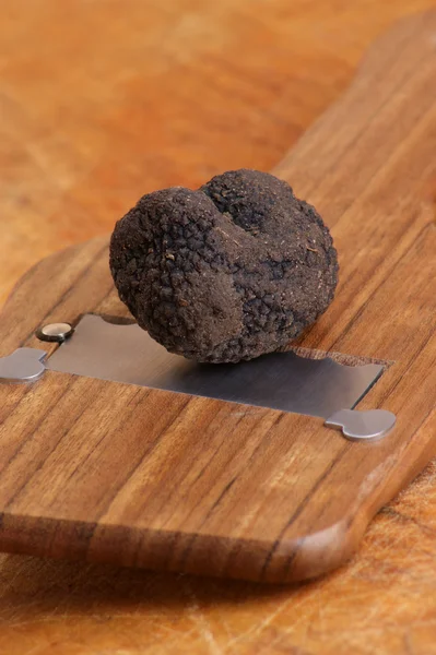 stock image One organic summer truffle and a truffle slicer