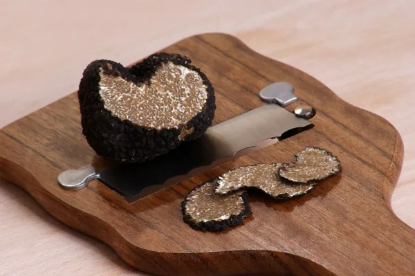 Organic summer truffle on a truffle slicer — Stock Photo, Image