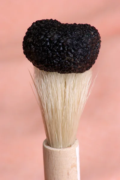 Organic summer truffle and a brush to clean — Stock Photo, Image