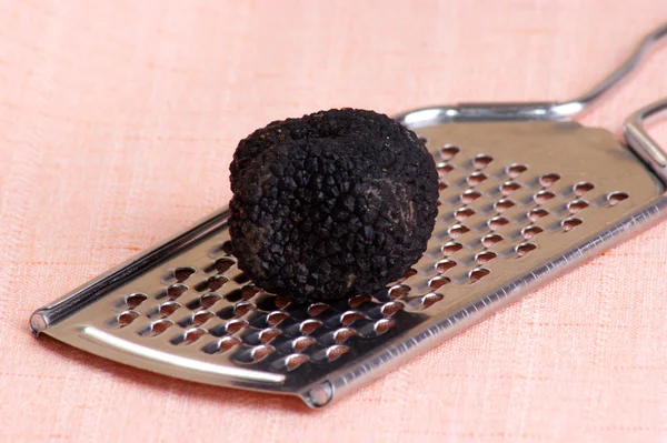 One organic summer truffle on a grater — Stock Photo, Image