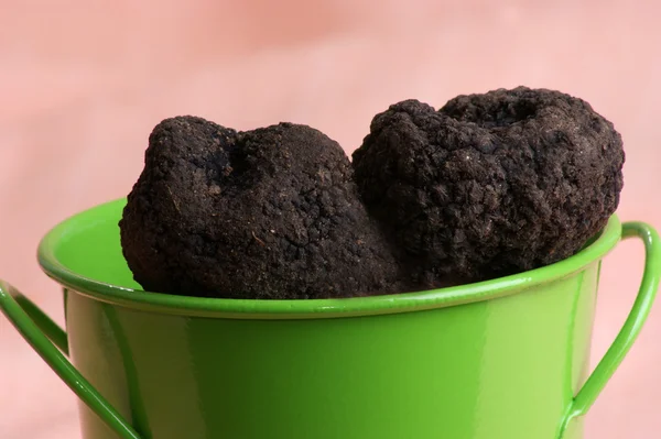 Some organic summer truffle in a green bucket — Stock Photo, Image