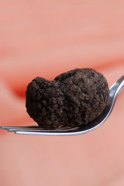 One organic summer truffle on a fork — Stock Photo, Image