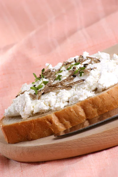 Organic summer truffle with bread and cottage cheese — Stock Photo, Image