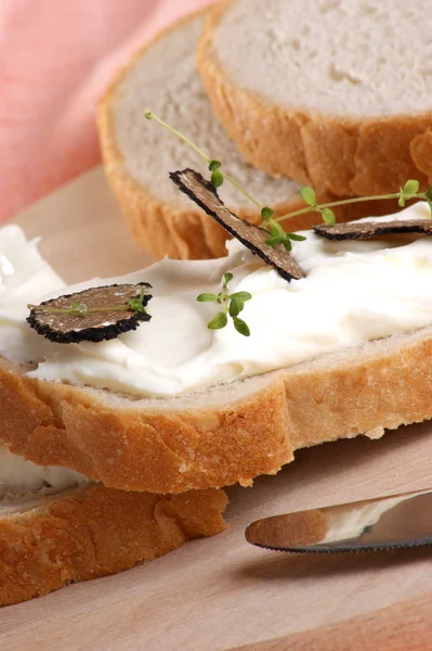 Organic summer truffle with bread and spread cheese — Stock Photo, Image