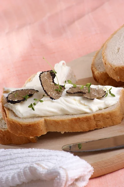 Organic summer truffle with bread and spread cheese — Stock Photo, Image