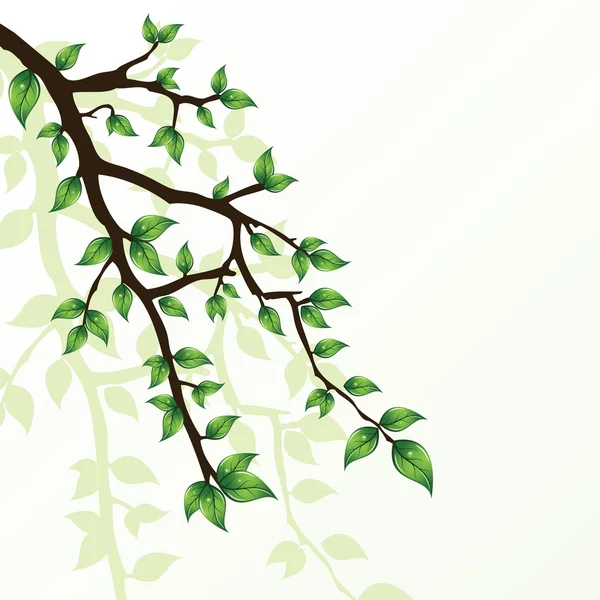 Branche de l'arbre — Image vectorielle