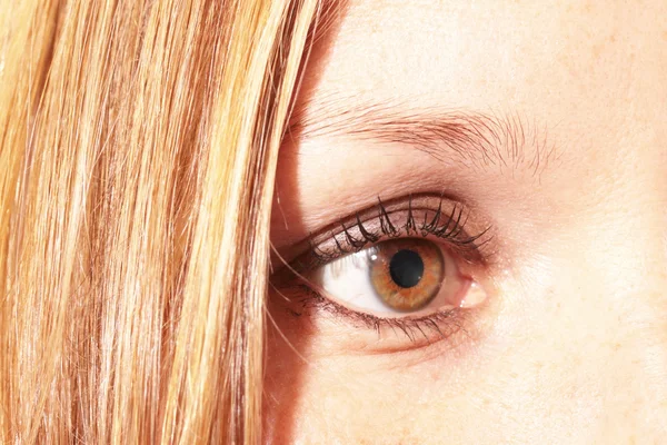 Brown eyed дівчина — стокове фото