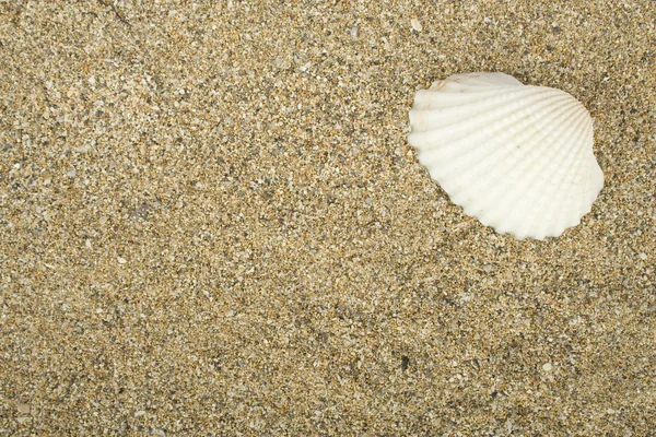 Mořský písek — Stock fotografie