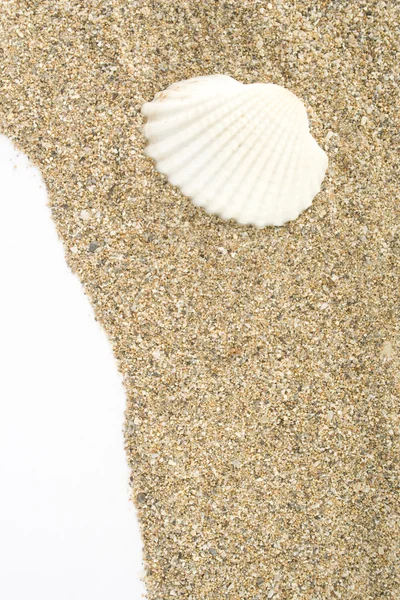 Deniz kum — Stok fotoğraf