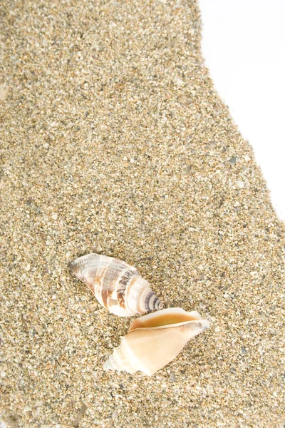 海砂 — ストック写真