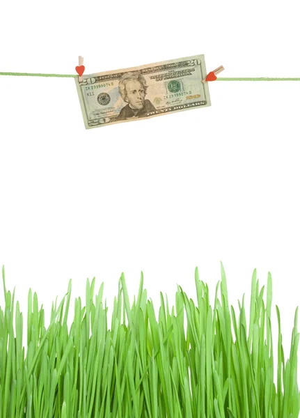 Dollars on a clothespin the grass green — Stock Photo, Image