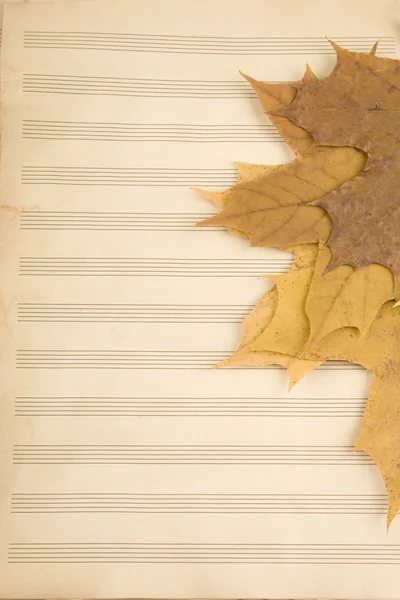 Осенняя музыка — стоковое фото