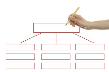 Organization chart clipart