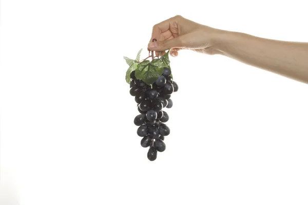 Grapes in hand — Stock Photo, Image