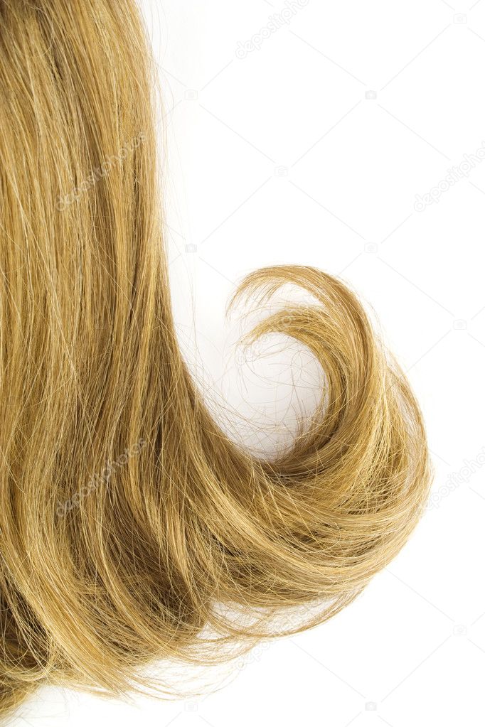 Hair on a white background