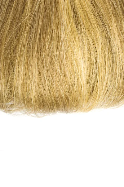 Haare auf weißem Hintergrund — Stockfoto