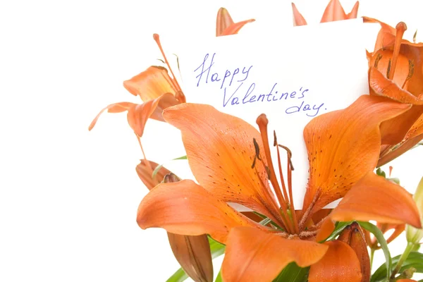 Gelukkige Valentijnsdag — Stockfoto
