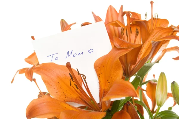 Flores para a mãe — Fotografia de Stock