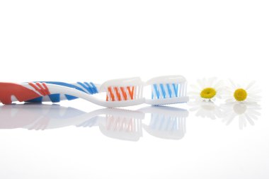 Tooth brush with paste and chamomile clipart