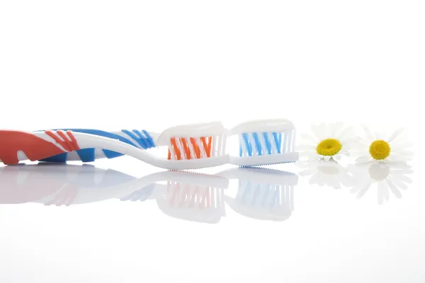 Escova de dentes com pasta e camomila — Fotografia de Stock