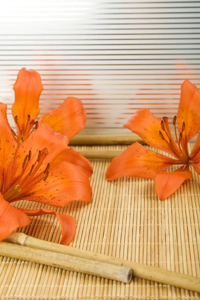 Oranje tiger lily — Stockfoto