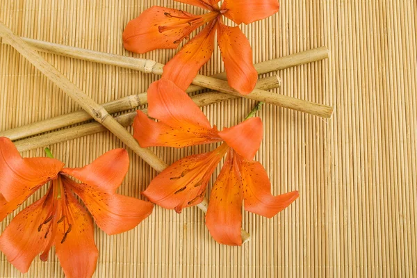 Orange tiger lily — Stock Photo, Image