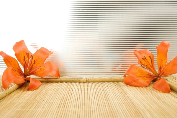 Orange tiger lily — Stockfoto