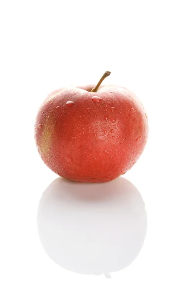 Rødt eple – stockfoto