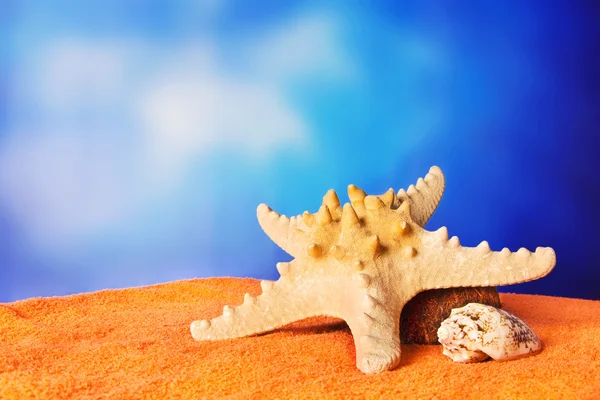 Sea star en zeeschelp op een strandhanddoek — Stockfoto