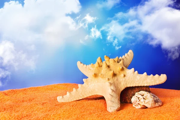 Αστέρι στη θάλασσα και το Θαλασσινό κοχύλι σε μια παραλία πετσέτα — Φωτογραφία Αρχείου