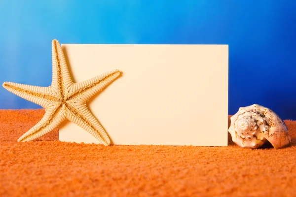 Concepto de playa de vacaciones con conchas, estrella de mar y una postal en blanco —  Fotos de Stock