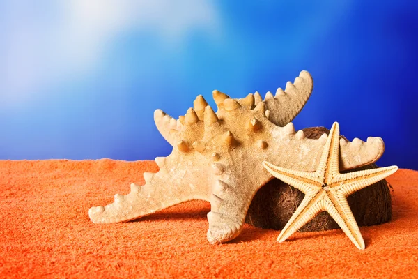 Deniz yıldızları plaj havlusu üzerinde birkaç — Stok fotoğraf