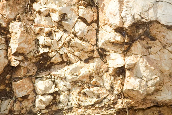 Pedra selvagem — Fotografia de Stock
