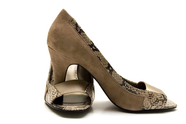 Elegant female shoes — Stock Photo, Image