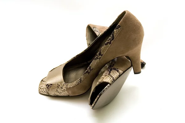 Elegant kvinnligt skor — Stockfoto