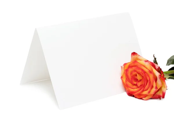 Dopis a růže Stock Snímky