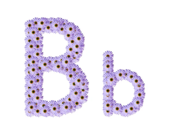 Alfabet kwiat — Zdjęcie stockowe