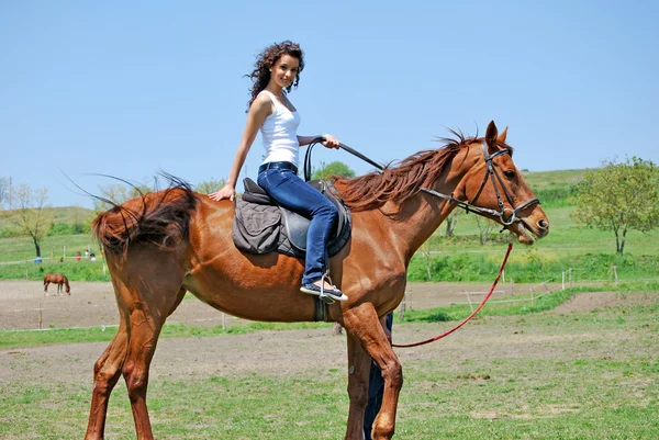 Kvinde og hest - Stock-foto