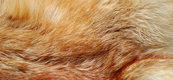 Rojo piel de zorro textura de fondo — Foto de Stock
