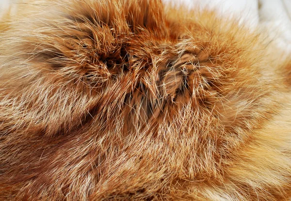 Red fox futro tekstura tło — Zdjęcie stockowe
