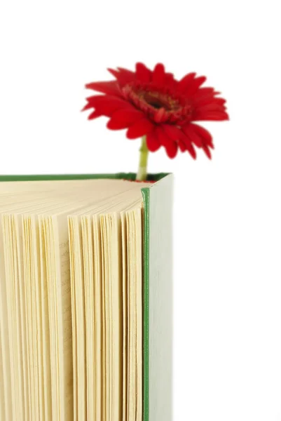 stock image Book with a red flower.