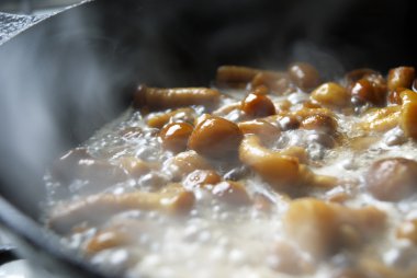 Mushrooms on a frying pan clipart