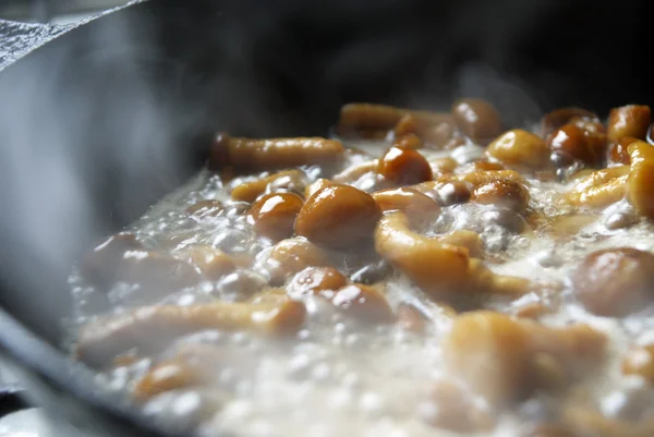 stock image Mushrooms on a frying pan