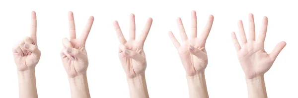 Siffror vittnesbörd fingrar — Stockfoto