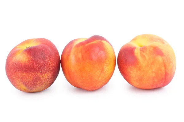 stock image Nectarine