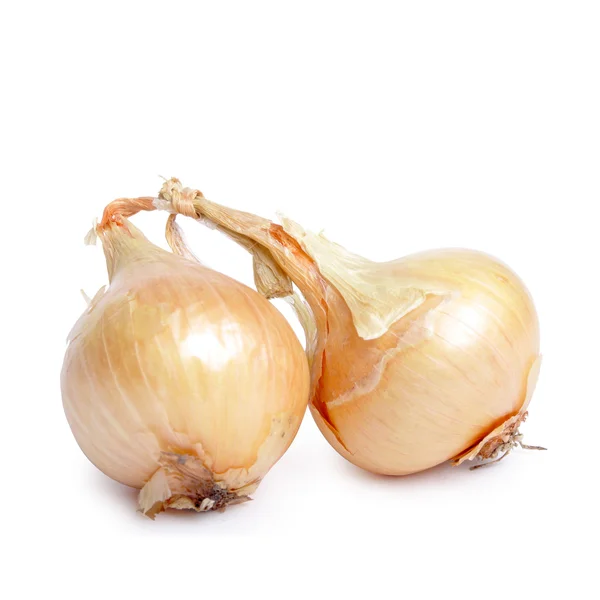 stock image Onion