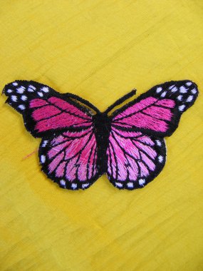 Animal butterfly clipart