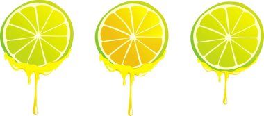 Stilyzed limon